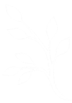 Decorative leaf branch graphic